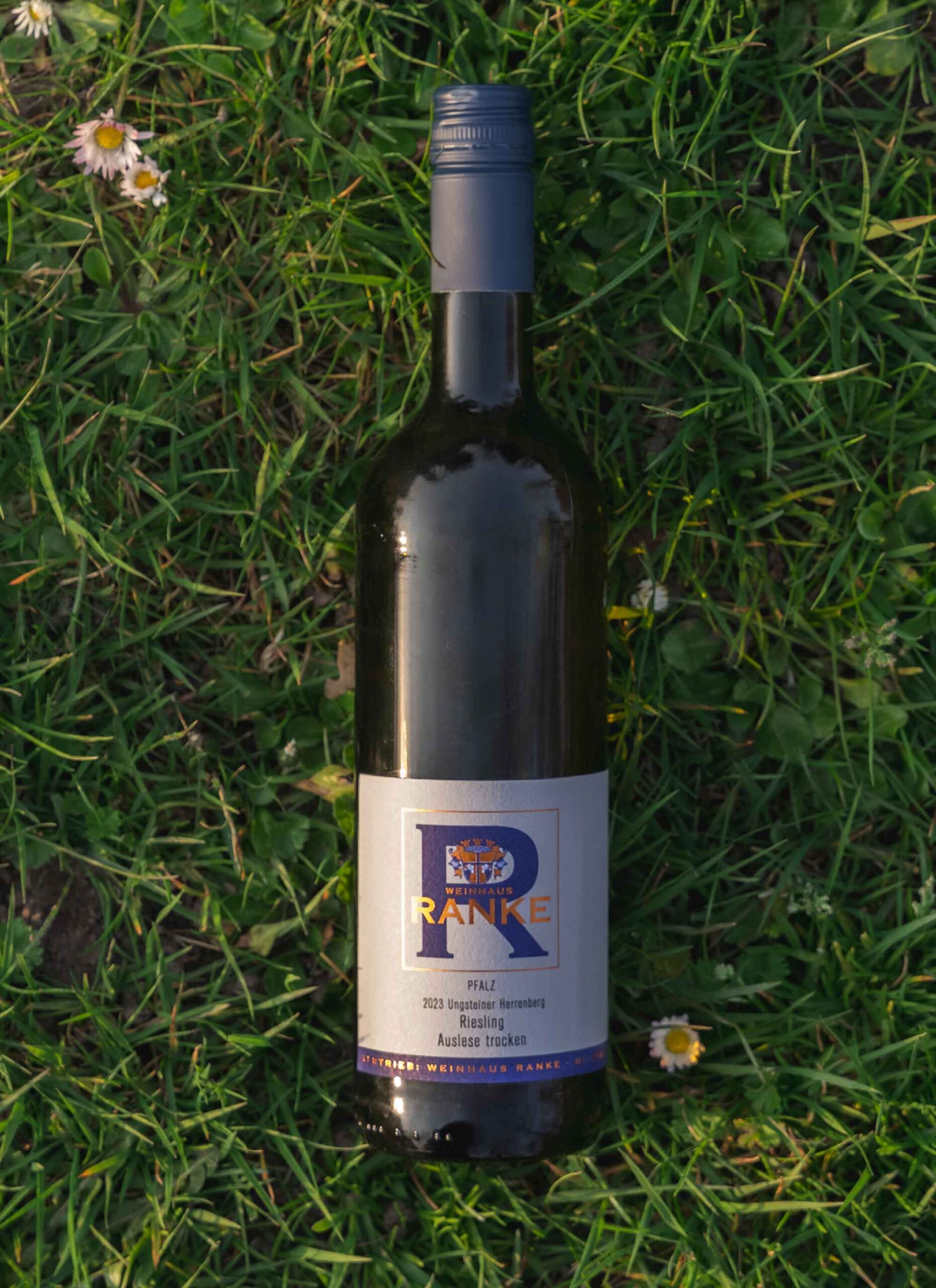 ab4fb6230c70b4ac75c3e2872b6ef787fb54c0ea4-886x1341 Ab4fb6230c70b4ac75c3e2872b6ef787fb54c0ea4 886x1341