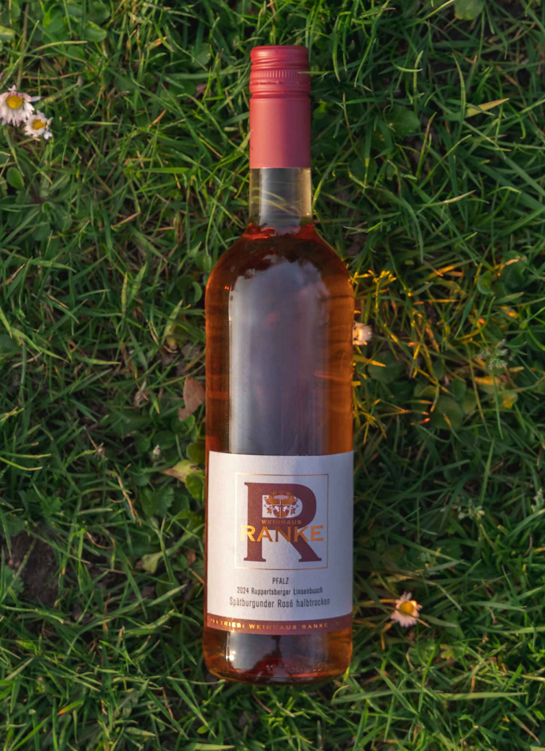 ab4fb6230c70b4ac75ce22872b6ef787fb54c0ea4-886x1341 Ab4fb6230c70b4ac75ce22872b6ef787fb54c0ea4 886x1341