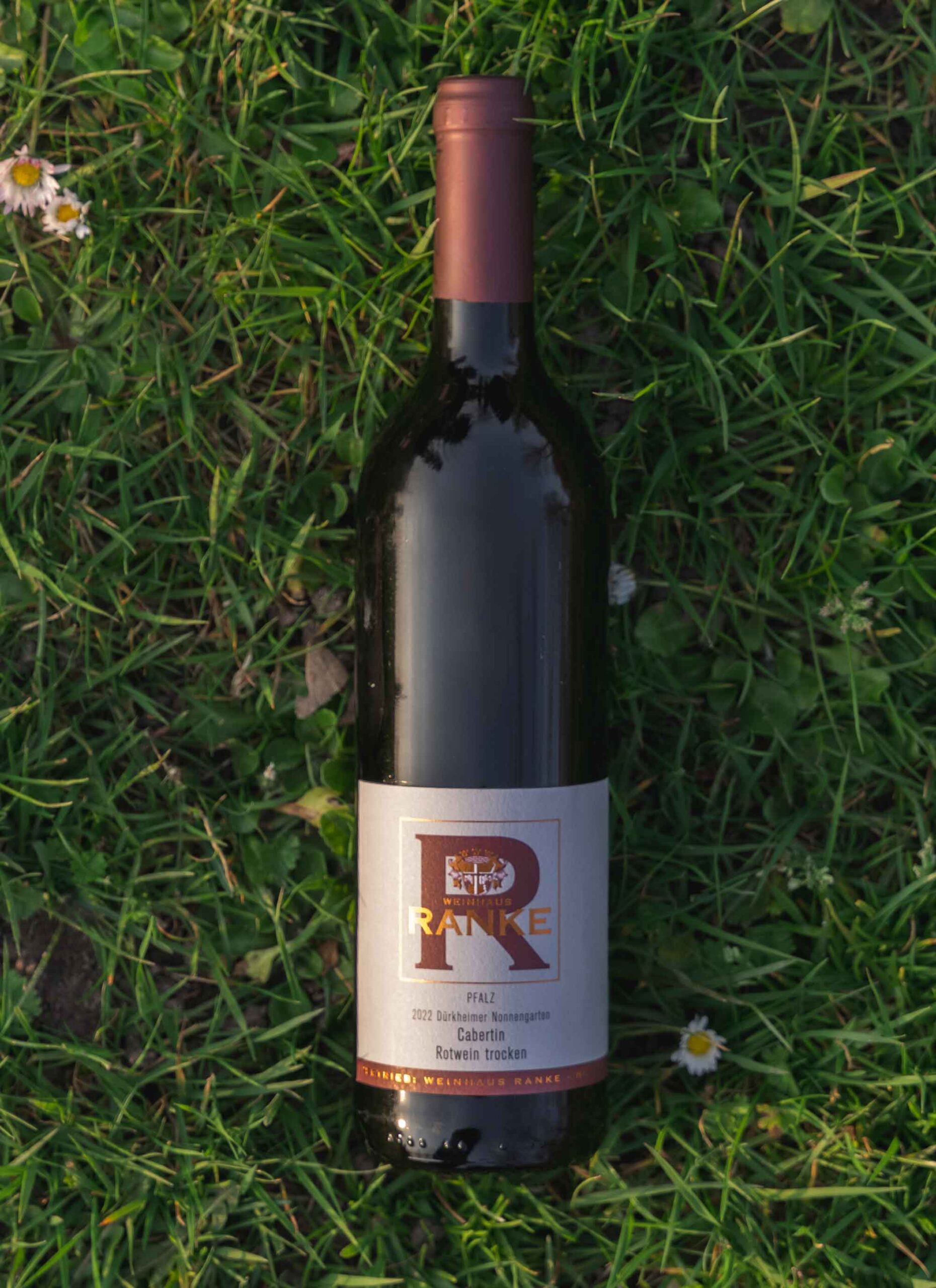 ab4fb6230c70b4ac75ce2872b6ef787fb54c0ea4-886x1341 Ab4fb6230c70b4ac75ce2872b6ef787fb54c0ea4 886x1341